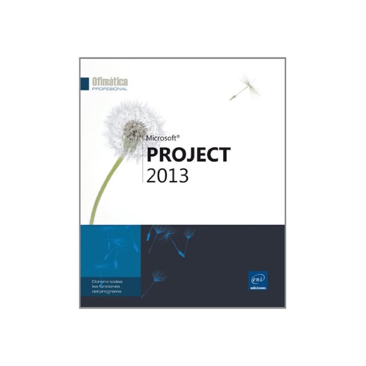 Microsoft Project 2013